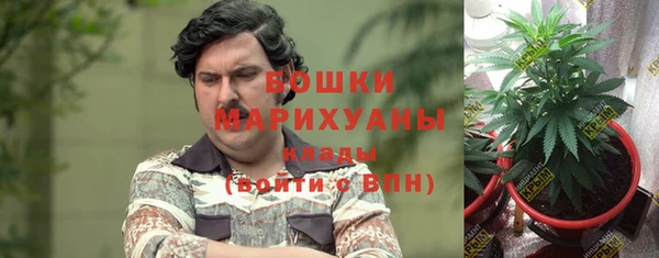 Альфа ПВП Инта