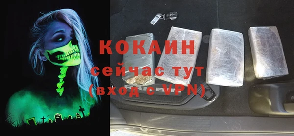 Альфа ПВП Инта