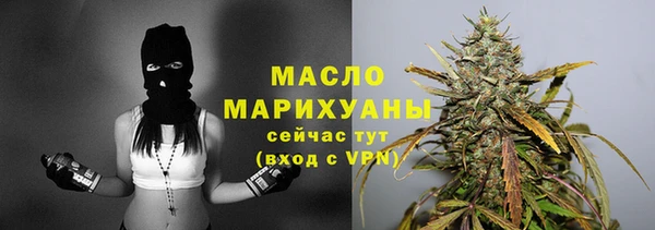 Альфа ПВП Инта