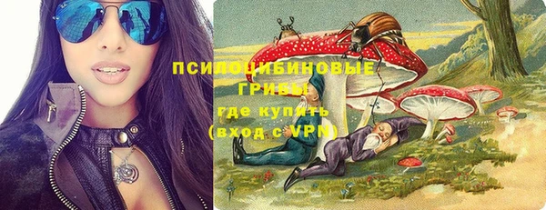 Альфа ПВП Инта