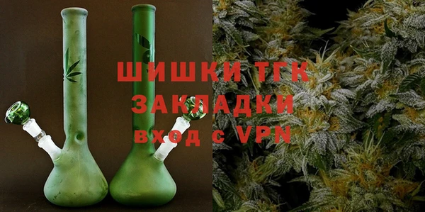 Альфа ПВП Инта