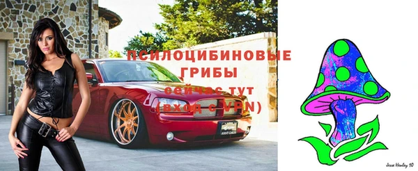 винт Инсар