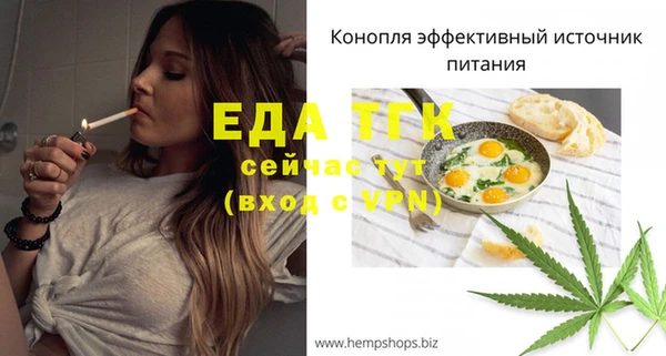 Альфа ПВП Инта