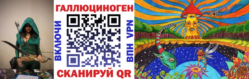 Купить где  Старая Русса  Галлюциногенные грибы Psilocybe 